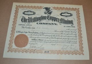 The Wellington Copper Mining Company 1907 Antique Stock Certificate