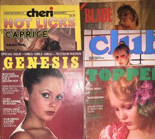 31 Magazines Of 1960s - 1990s Vtg Adult Mens Magazines Playboy Penthouse Rare
