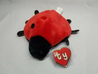 Authentic Ty Beanie Baby Lucky - 7 Felt Dots Rare 2nd/1st Gen Tag Missing Dots