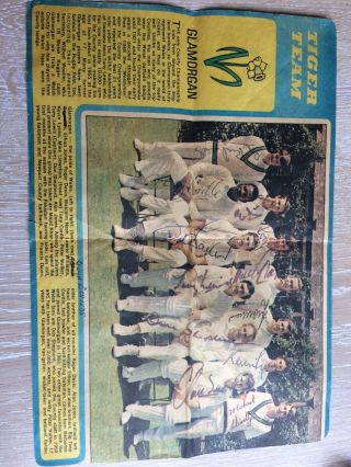 Glamorgan County Cricket Club Autographed Picture,  Early 1970s,  Rare