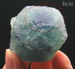 68g Rare Ladder - Like Green‘blue Core’ Fluorite Crystal Mineral Specimen/china513