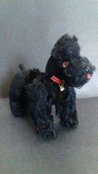 Vintage Steiff Snobby Poodle Dog Black Mohair Plush 14cm 5.  5in 1960s Id