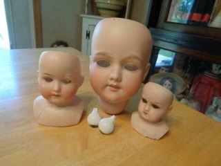 3 Antique Bisque Doll Heads A.  Marseille/huebach Koppelsdorf/mabel Tlc