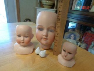 3 Antique Bisque Doll Heads A.  Marseille/Huebach Koppelsdorf/Mabel TLC 2