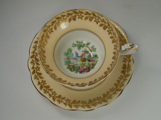 Vintage Foley Peach Tea Cup And Saucer.  Exotic Bird Of Paradise.  Broadway.