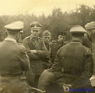 Port.  Photo: Rare German Elite Waffen Panzer Truppe Officers Confer In Field