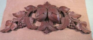 Antique,  Hand Carved Dark Wood " Door Topper ".  Leaves,  Fruits And Vines - Unique