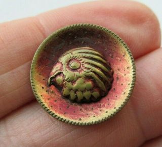 Delightful Small Antique Vtg Tinted Metal Picture Button Parrot Bird 3/4 " (s)