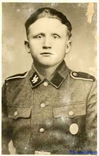 Lg.  Port.  Photo: Rare Pic German Elite Waffen Schütze; Kia In Russia 1942