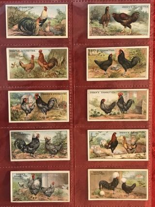 1915 OGDEN ' S - POULTRY - 1ST SERIES FULL 25 CARD SET - TOBACCO CARDS - SCARCE,  RARE - EX - MT 2