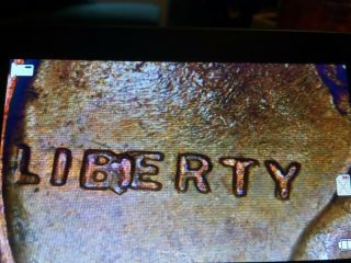 Very Rare 1955 D " Bie " Error Wheat Penny Copper Lincoln Coin 65years Old