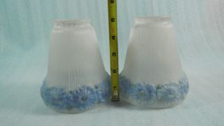 Pair Antique Reverse Hand Painted Frosted Glass Lamp Shade Globes Blue Flower