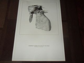 Coldplay.  A Rush Of Blood To The Head.  Rare Lithograph.