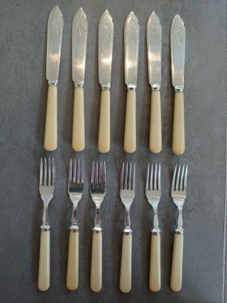 Vintage Bakelite Handled Silver Plated EPNS Fish Knife & Fork Set Cased 2