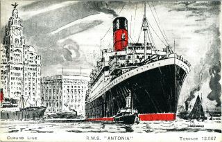 Cunard Line Rms Antonia Antique Postcard Ocean Liner Steam Ship