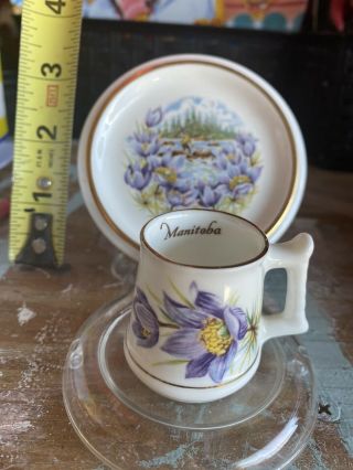 Vintage Fine Bone China Royal Stuart Mini Tea Cup And Plate Made In England 2