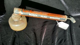 Vintage Black Flag Bug Sprayer Clear Glass Pesticides Tin Canister