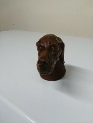Antique Syroco Resin Irish Setter Pointer Figural Dog ' s Head Bottle Opener 2