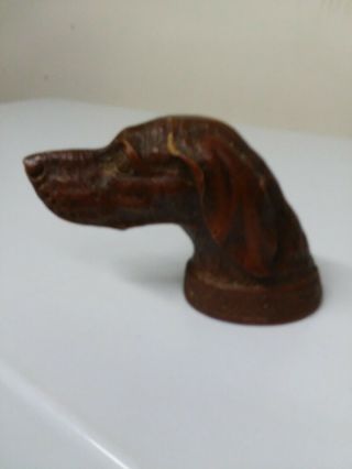 Antique Syroco Resin Irish Setter Pointer Figural Dog ' s Head Bottle Opener 3