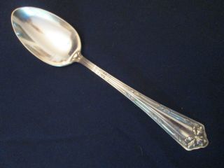 Soup Or Place Spoon Vintage Wm.  Rogers Silverplate: Fair Oak Pattern: Lovely