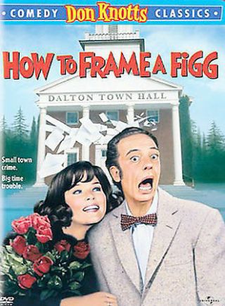 How To Frame A Figg Rare Don Knotts Dvd With Case & Cover Art Buy 2 Get 1