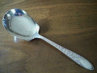 Rose & Leaf Silverplate Solid Smooth Casserole Spoon National Silver Co 1937