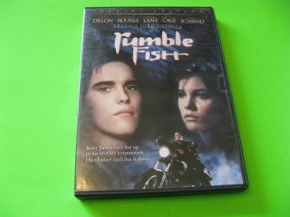 Rumble Fish (dvd,  2005,  Special Edition) Rare Oop Matt Dillion,  Diane Lane
