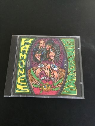 The Ramones Acid Eaters Rare Psych Rock Punk Cd Collectible Vg,