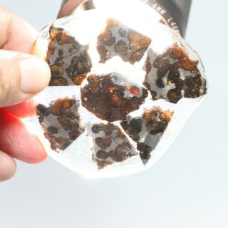 43g Rare Slices Of Kenyan Pallasite Olive Meteorite A305