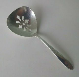 National Silver Co - King Edward - Vintage Silver Plated Slotted Bon Bon Spoon