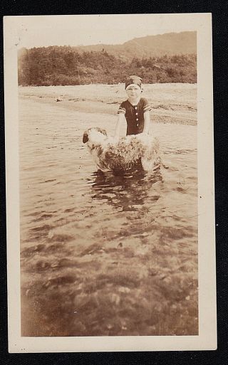 Antique Vintage Photograph Little Girl W/ Cute Puppy Dog In Water
