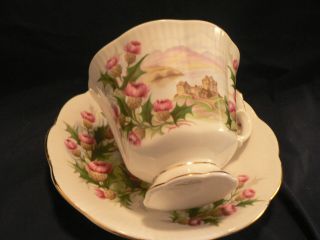Royal Albert Teacup And Saucer Ancesteral Series Road To The Isles Roses Castle