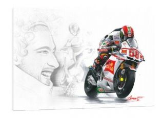 Marco Simoncelli Large 30 " X 20 " Moto Gp Honda Framed Picture Canvas Very Rare