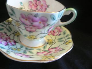 E B Foley Springdale In Random Pink And Yellow Flowers Tea Cup And Saucer