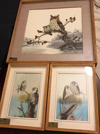 Vintage Owls Cac Featherart Shadowbox Diorama Rare 3 Pc Set Detail