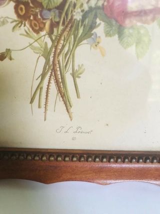 Antique J.  L.  Prevost Botanical Floral Print - 1940 ' s in vintage frame 3