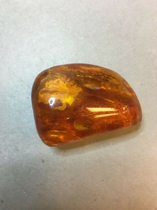Natural Old Antique Yellow Butterscotch Baltic Amber Brooch 11,  6 Gr