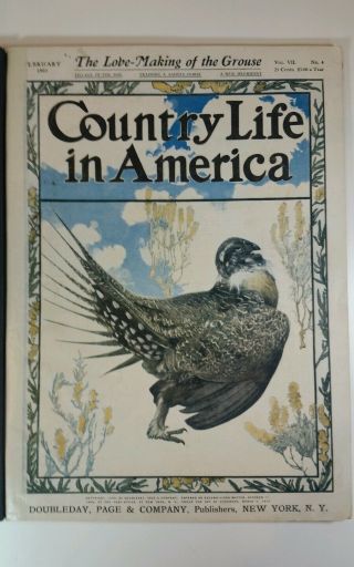 Country Life In America Feb 1905 Bound Edition Antique Vintage Advertising