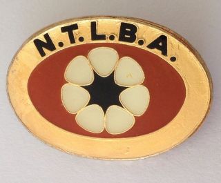 Ntlba Northern Territory Bowling Association Club Badge Pin Rare Vintage (m15)