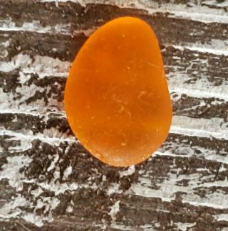 Bright Tangerine Orange Extremely Rare Flalwess Beachen Sea Glass Gem Jq