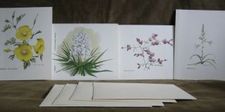 Vintage Artist Henry R Mockel Note Card Desert Plant Flower Floral Set 4