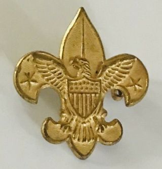 Bsa American Eagle Boy Scouts Of America Pin Badge Rare Vintage (g12)