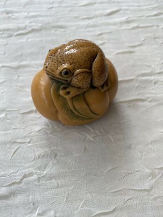 Japanese/ Chinese Carved Resin Netsuke Frog On Pumpkin