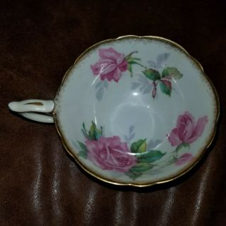 Vintage Royal Stafford Berkeley Rose Bone China Tea Cup Only - England 2