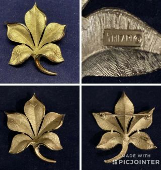 Vintage Crown Trifari Brushed Silver - Tone Leaf Brooch (zzb1)