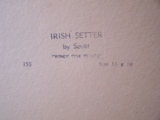 VINTAGE 1950 ' S IRISH SETTER SAVITT DOG HUNTING LITHOGRAPH 3