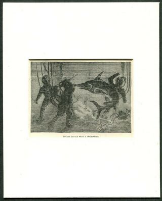 1887 Antique Print Of Deep Sea Diving Diver In Diving Helmet Battling Swordfish