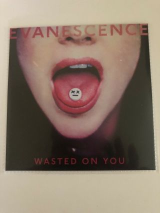 Evanescence Wasted On You Promo Single Rare Amy Lee