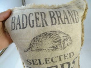 Antique Advertising Badger Brand Seed Bag Milwaukee WI Teweles Pillow Vintage 2