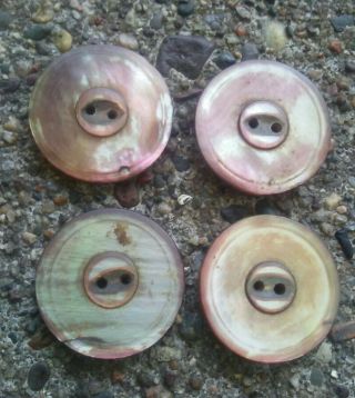 Antique Set Of 4 Small Carved Smoky Mother Of Pearl Buttons.